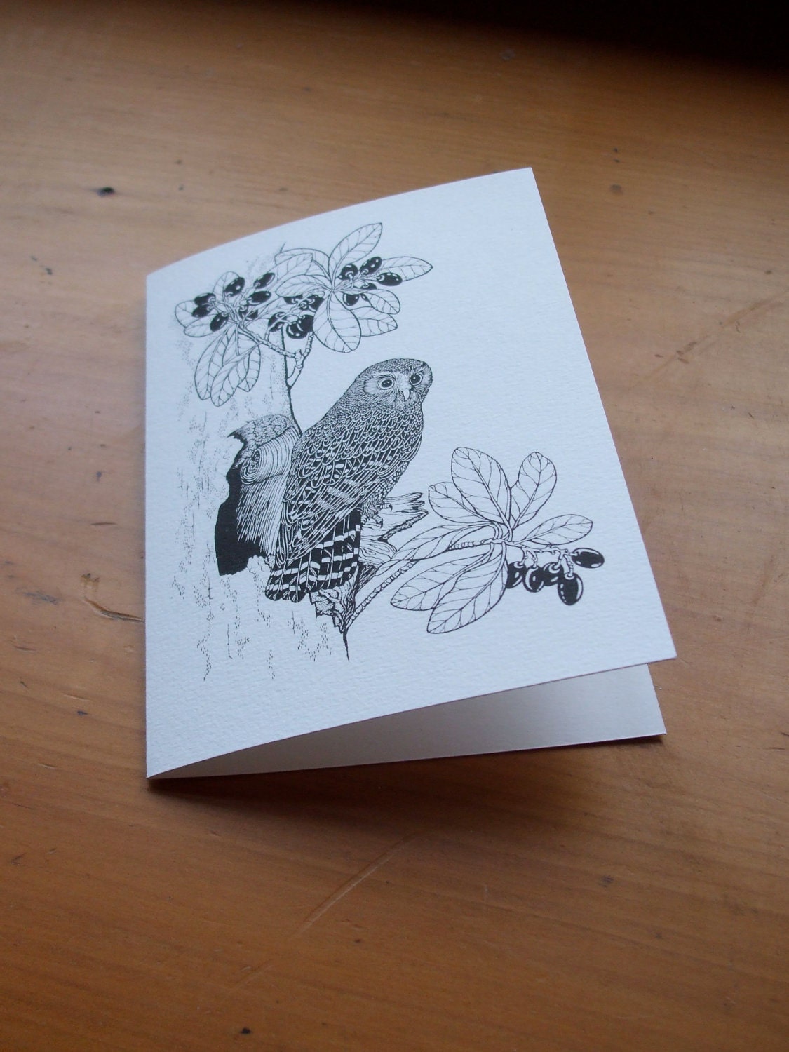 Morepork owl card