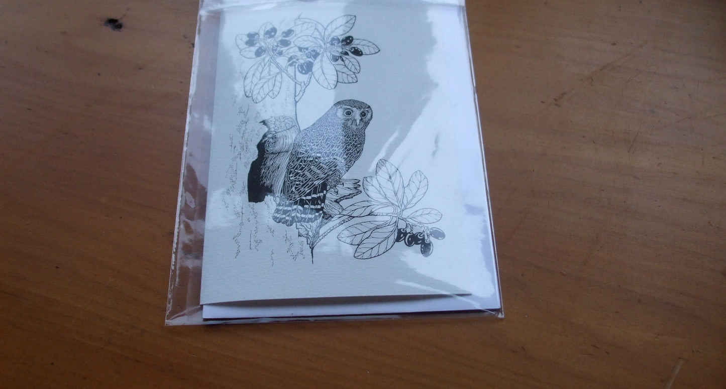 Morepork owl card